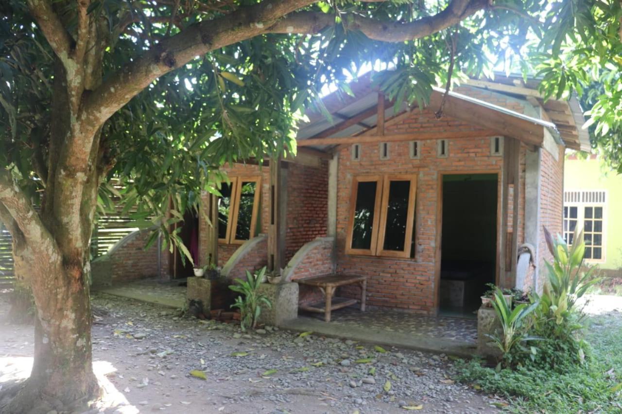 Jhony'S Backpacker-Guest House Only Stay Here Book Treking With Us بوكيت لاوانج المظهر الخارجي الصورة